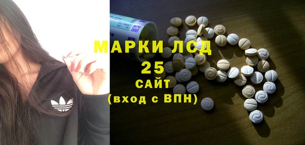 прущие грибы Гусиноозёрск