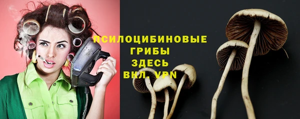 гашик Нязепетровск