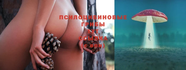 прущие крисы Фёдоровский