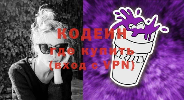 Альфа ПВП Няндома