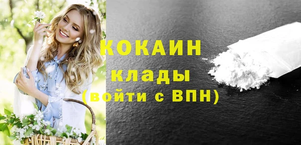 Альфа ПВП Няндома