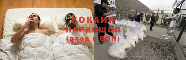 Альфа ПВП Няндома