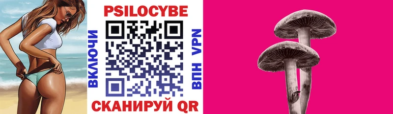 наркотики  Губаха  мега как зайти  Псилоцибиновые грибы Cubensis 