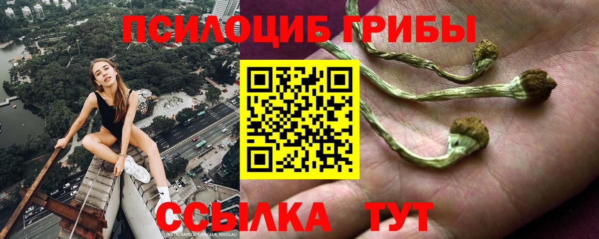 Псилоцибиновые грибы мухоморы Губаха