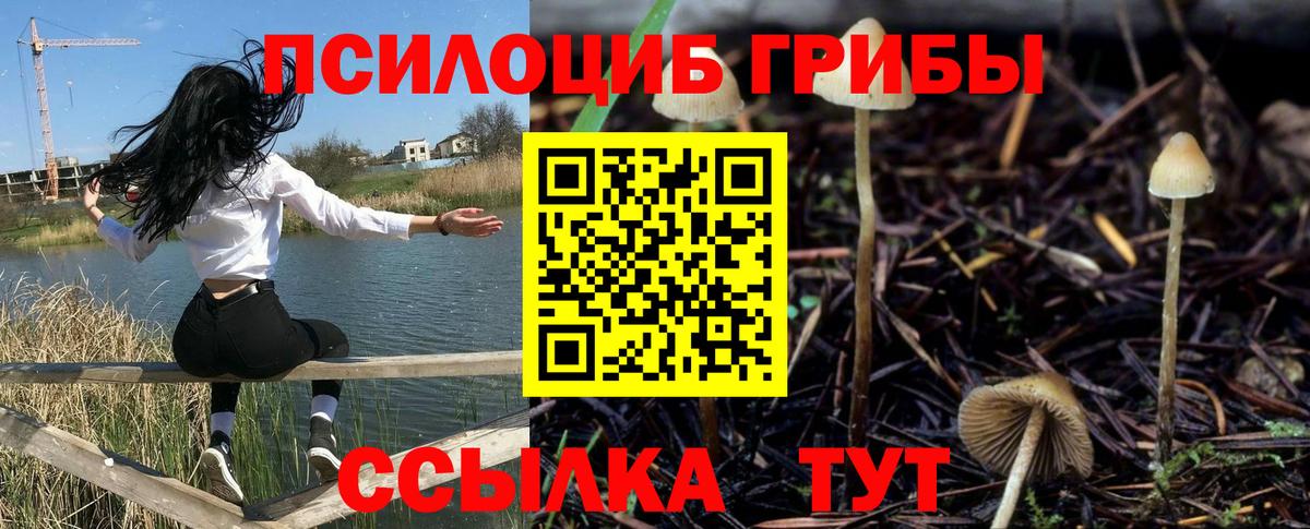 Губаха  Галлюциногенные грибы GOLDEN TEACHER  Псилоцибиновые грибы мицелий  Вход с VPN 